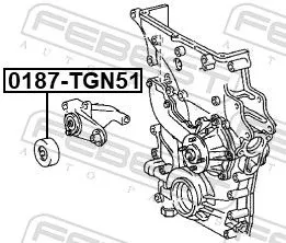 FEBEST Tensioner Pulley, V-ribbed belt (0187-TGN51)