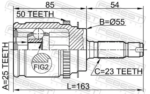 FEBEST Joint Kit, drive shaft (0310-RD1RA50)