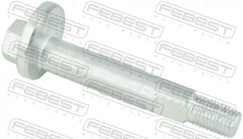 Camber Correction Screw