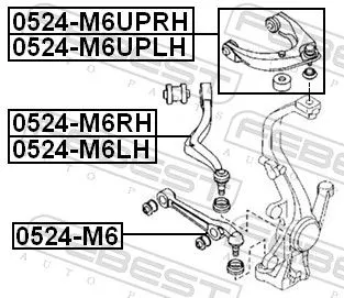 FEBEST Control/Trailing Arm, wheel suspension (0524-M6UPLH)