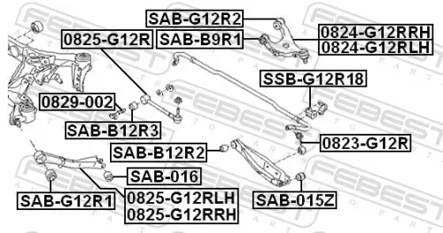 FEBEST Control/Trailing Arm, wheel suspension (0825-G12RRH)