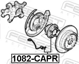FEBEST Wheel Hub (1082-CAPR)