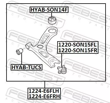 FEBEST Control/Trailing Arm, wheel suspension (1224-E6FLH)