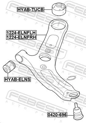 FEBEST Control/Trailing Arm, wheel suspension (1224-ELNFRH)