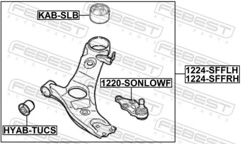 FEBEST Control/Trailing Arm, wheel suspension (1224-SFFRH)