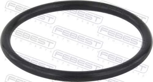 Seal Ring, charge air hose