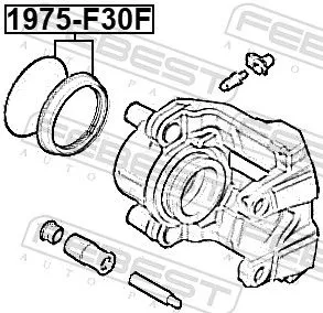 FEBEST Repair Kit, brake caliper (1975-F30F)