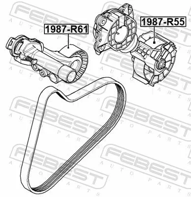 FEBEST Tensioner Pulley, V-ribbed belt (1987-R61)