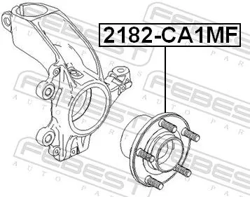 FEBEST Wheel Hub (2182-CA1MF)