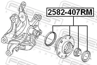 FEBEST Wheel Hub (2582-407RM)