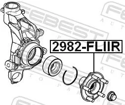 FEBEST Wheel Hub (2982-FLIIR)