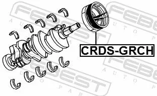 FEBEST Belt Pulley, crankshaft (CRDS-GRCH)