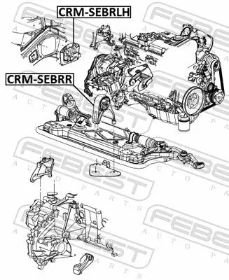 FEBEST Mounting, engine (CRM-SEBRR)