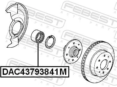 FEBEST Wheel Bearing (DAC43793841M)