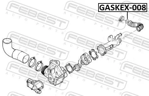 FEBEST Seal Ring, exhaust pipe (GASKEX-008)