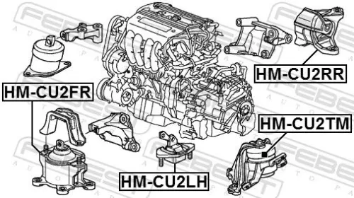 FEBEST Mounting, engine (HM-CU2FR)