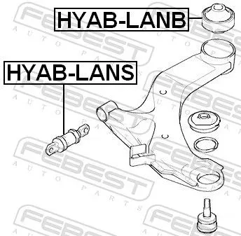 FEBEST Mounting, control/trailing arm (HYAB-LANS)