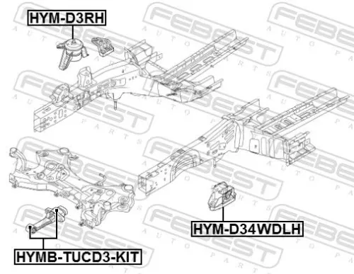 FEBEST Mounting, engine (HYM-D34WDLH)