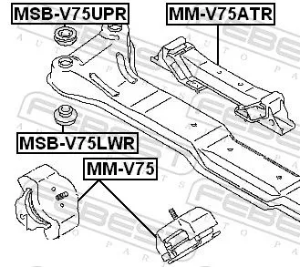 FEBEST Bushing, axle beam (MSB-V75LWR)