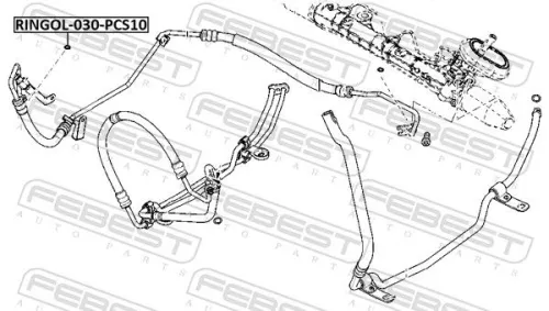 FEBEST Shaft Seal, power steering pump (RINGOL-030-PCS10)