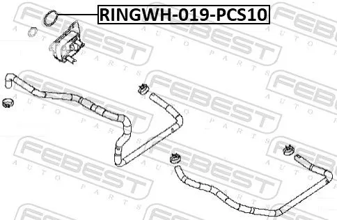 FEBEST Gasket, oil cooler (RINGOL-061-PCS10)