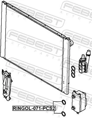 FEBEST Seal Ring, oil cooler (RINGOL-071-PCS2)