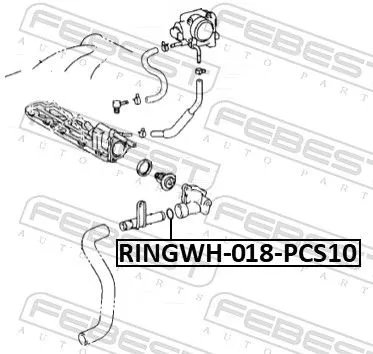 FEBEST Gasket, coolant flange (RINGWH-018-PCS10)