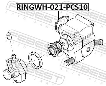FEBEST Gasket, coolant flange (RINGWH-021-PCS10)
