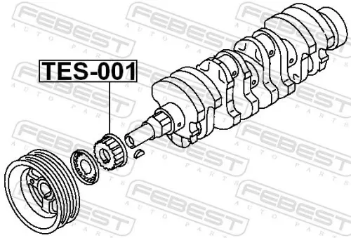 FEBEST Sprocket, crankshaft (TES-001)