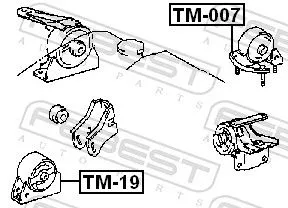 FEBEST Mounting, engine (TM-007)