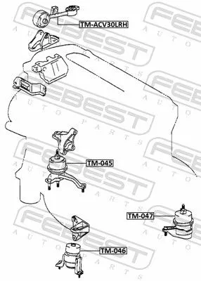 FEBEST Mounting, engine (TM-045)