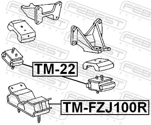 FEBEST Mounting, engine (TM-22)