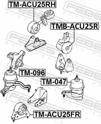 FEBEST Mounting, engine (TM-ACU25FR)