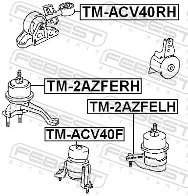 FEBEST Mounting, engine (TM-ACV40RH)