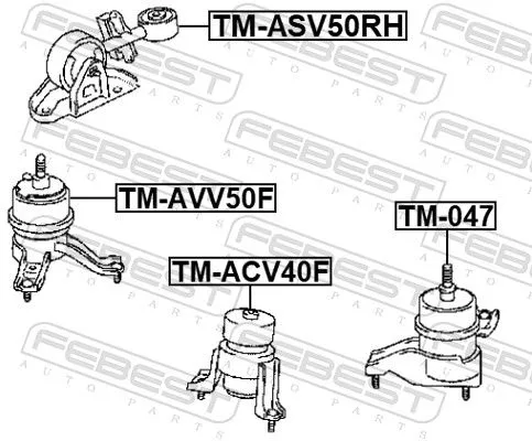 FEBEST Mounting, engine (TM-ASV50RH)