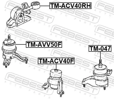 FEBEST Mounting, engine (TM-AVV50F)