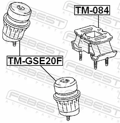 FEBEST Mounting, engine (TM-GSE20F)
