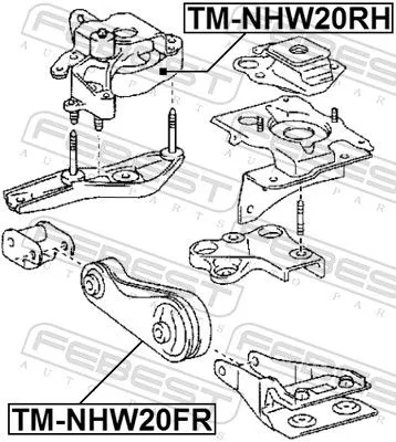 FEBEST Mounting, engine (TM-NHW20FR)