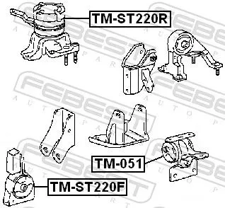 FEBEST Mounting, engine (TM-ST220F)