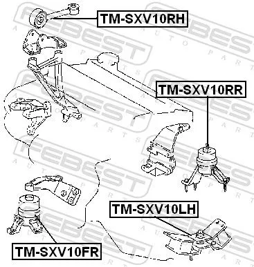 FEBEST Mounting, engine (TM-SXV10FR)