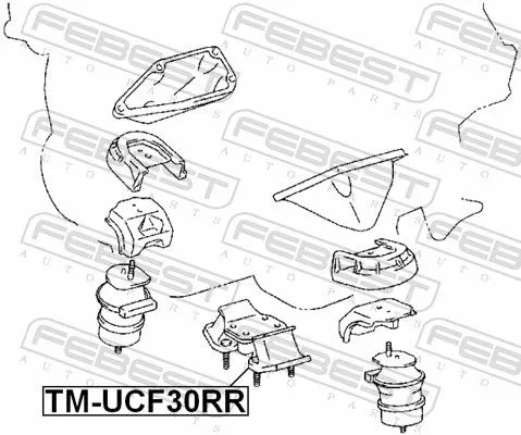 FEBEST Mounting, engine (TM-UCF30RR)
