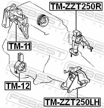 FEBEST Mounting, engine (TM-ZZT250LH)