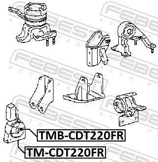 FEBEST Mounting, engine (TMB-CDT220FR)