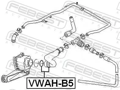 FEBEST Hose, crankcase ventilation (VWAH-B5)