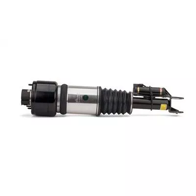 Arnott Air Suspension Strut (AS-2786)