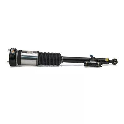 Arnott Air Suspension Strut (AS-2821)