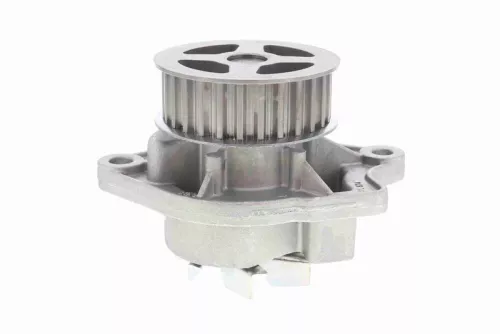 VAICO Water Pump, engine cooling (V10-50036)