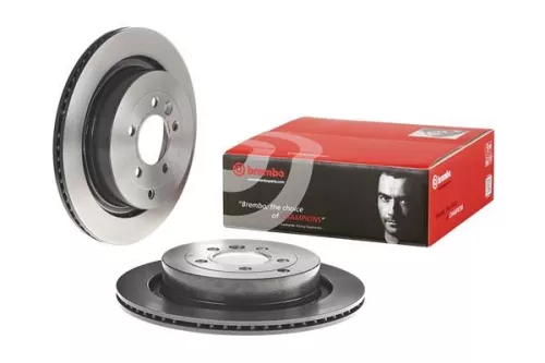 BREMBO Brake Disc (09.8876.31)