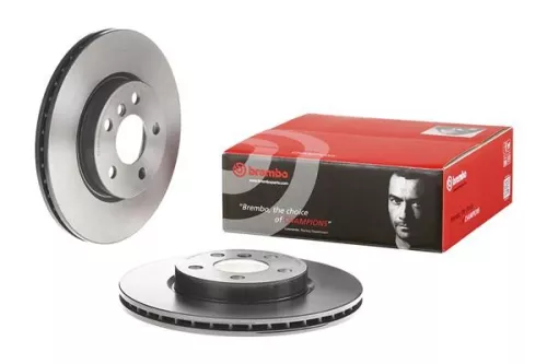 BREMBO Brake Disc (09.C349.11)