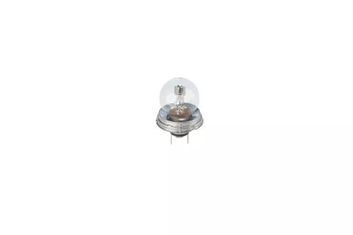 BOSCH Bulb, headlight (1987302023)
